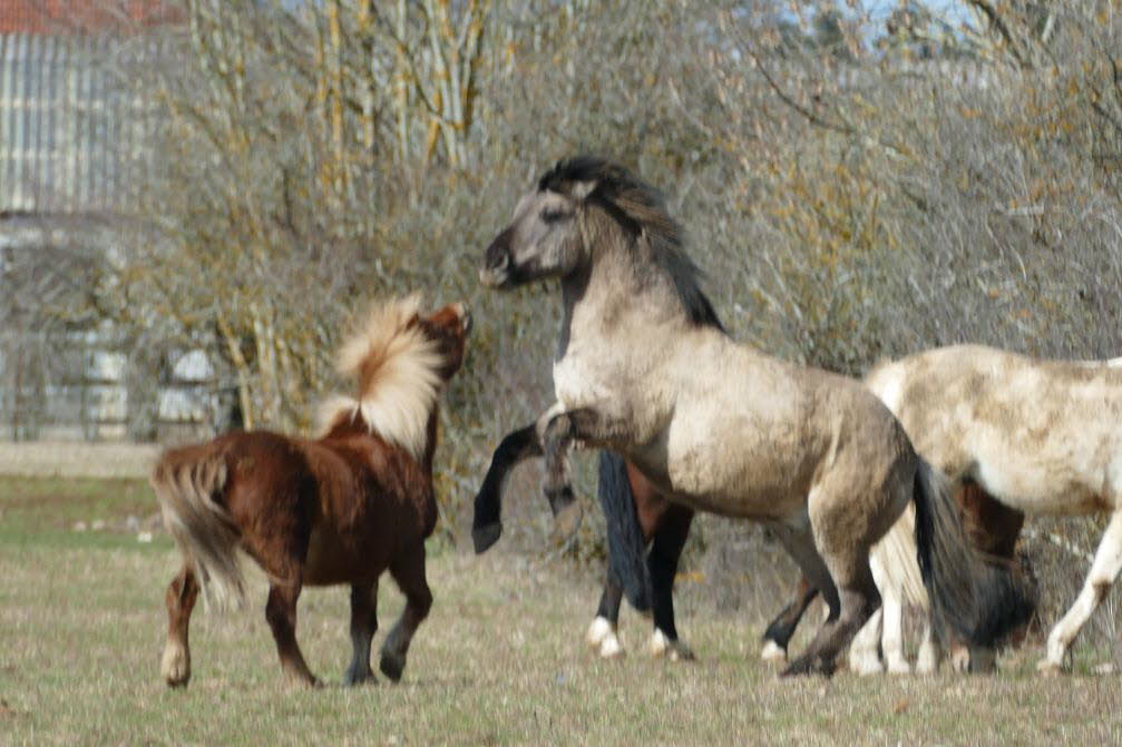 P1010663